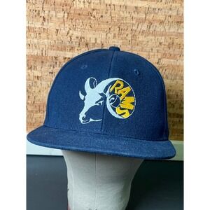 Vintage Los Angeles Rams‎ DECKY Snapback Hat Cap NFL Football Blue